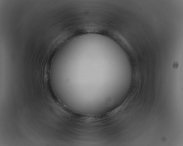 X0000096660074200802051229