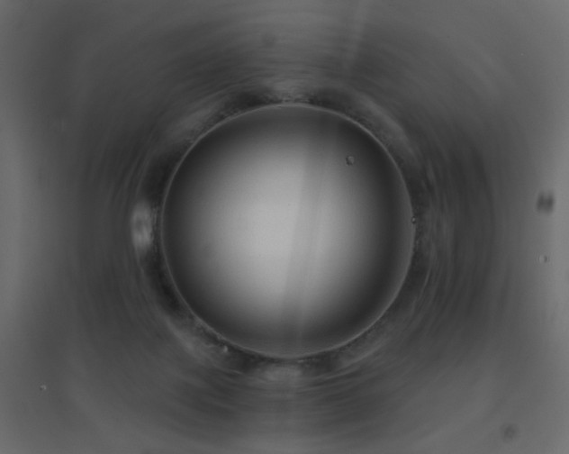 X0000096660075200802051229