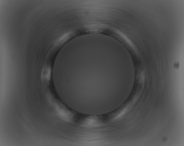 X0000096660076200802051229