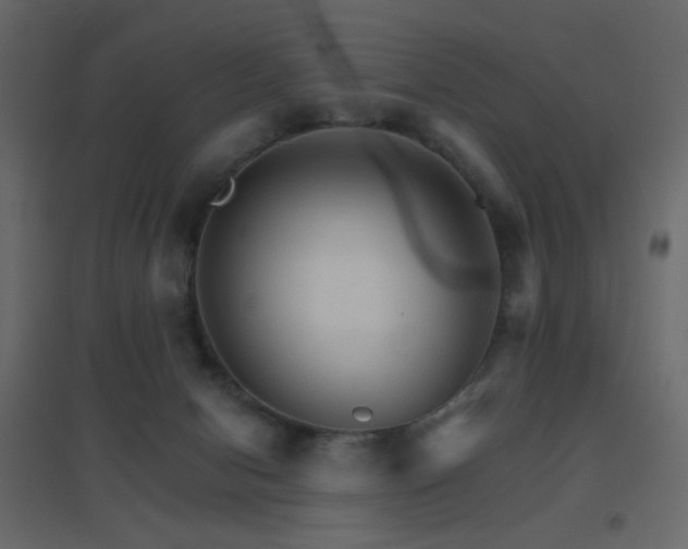 X0000096660078200802051229