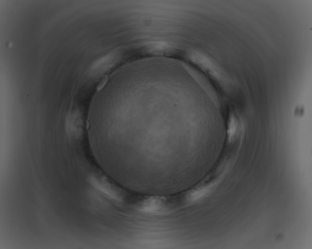 X0000096660080200802051229