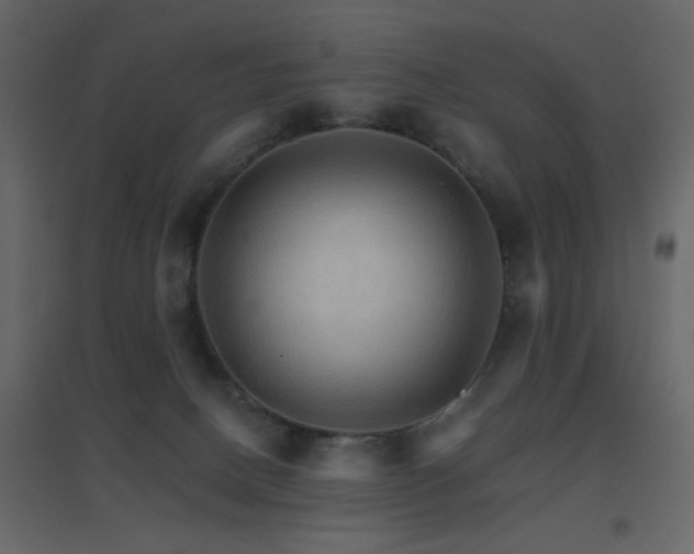 X0000096660082200802051229