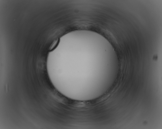 X0000096660083200802051229