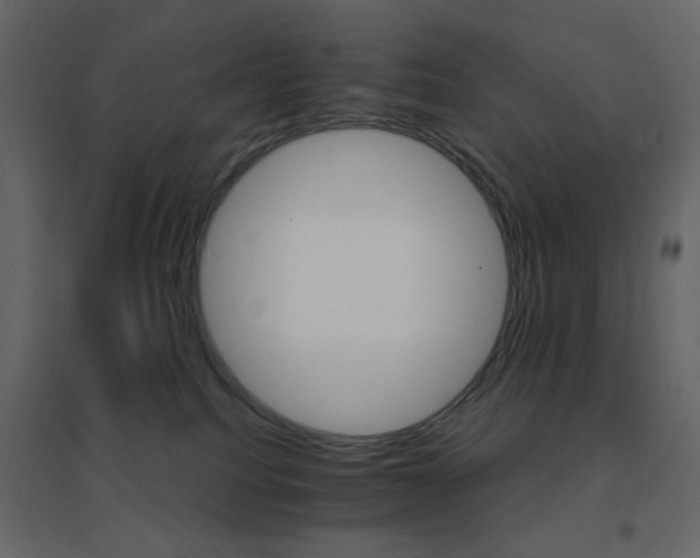 X0000096660088200802051229