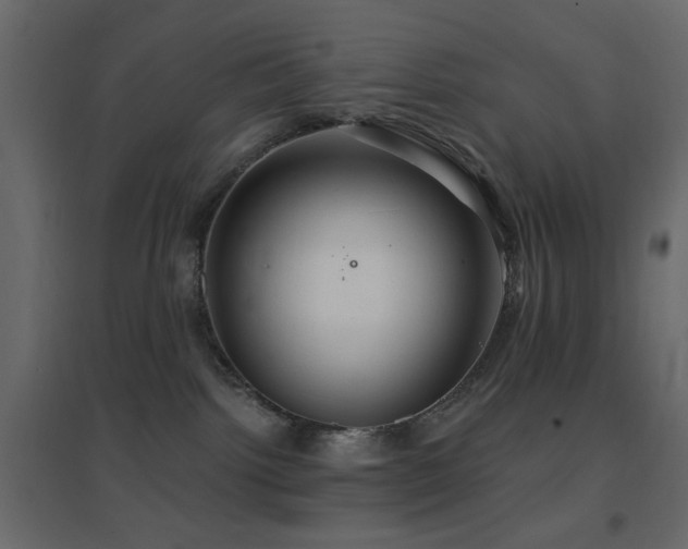 X0000096660092200802051229