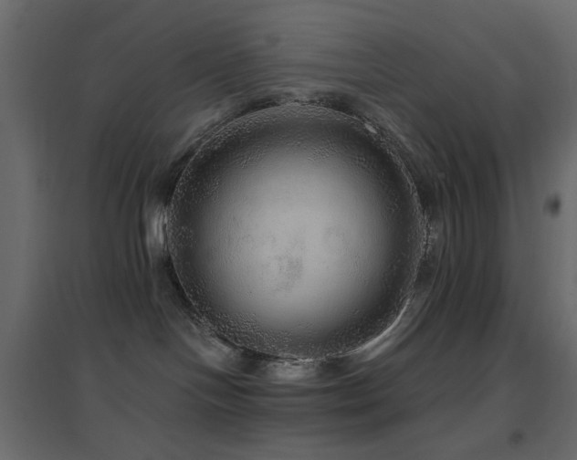 X0000096660094200802051229