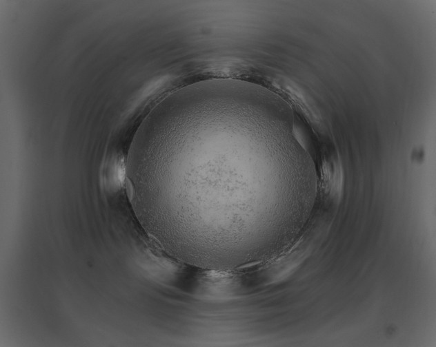 X0000096660095200802051229