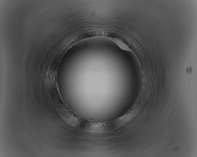 X0000096660096200802051230