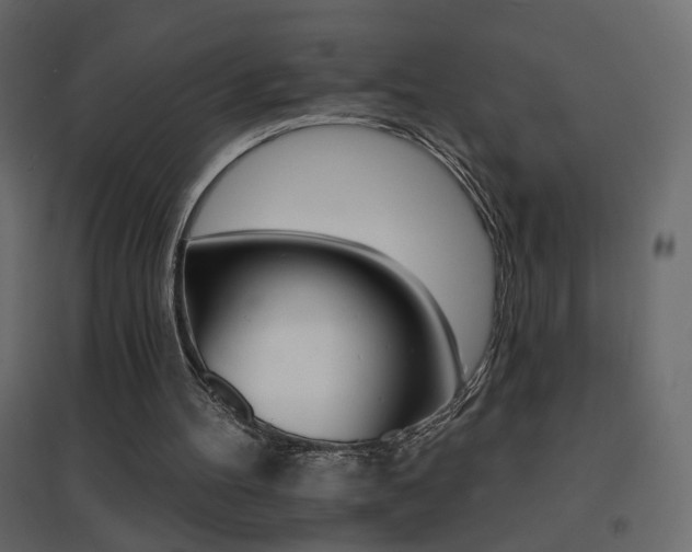 X0000096660100200802051229