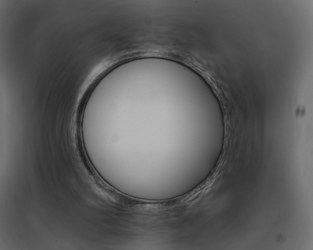 X0000096660102200802051229