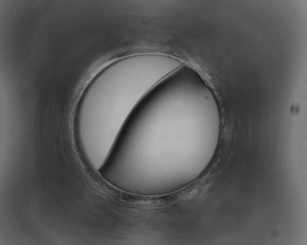 X0000096660103200802051229