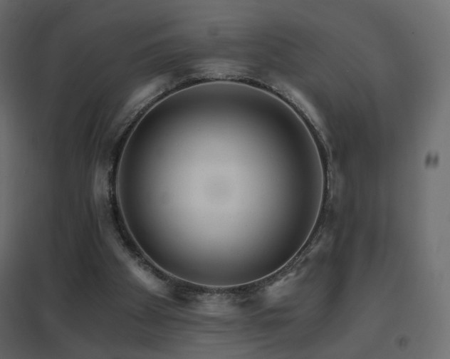 X0000096660105200802051229