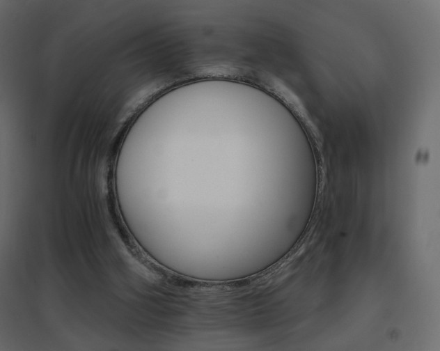 X0000096660106200802051229