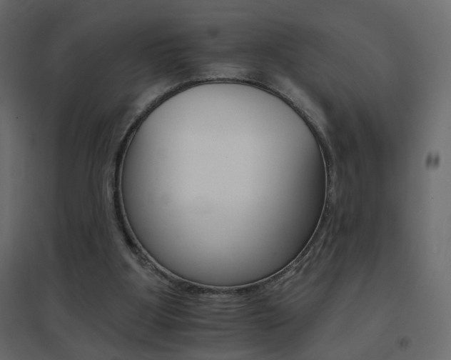 X0000096660107200802051229