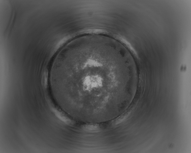 X0000096660110200802051228