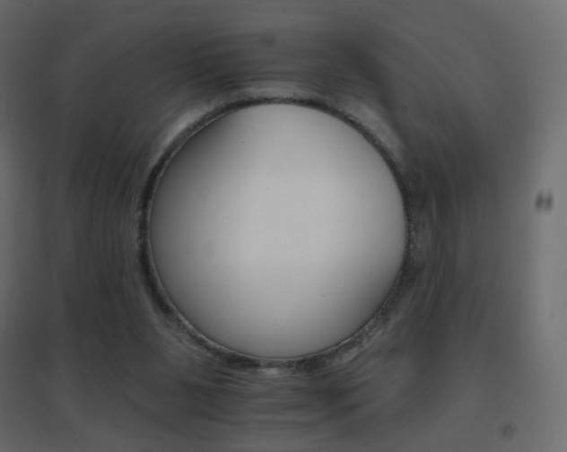 X0000096660111200802051228