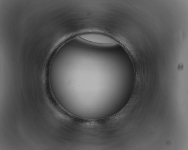 X0000096660112200802051228