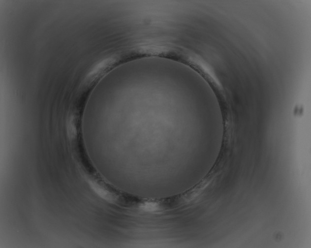 X0000096660114200802051228