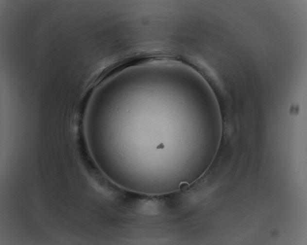 X0000096660115200802051228