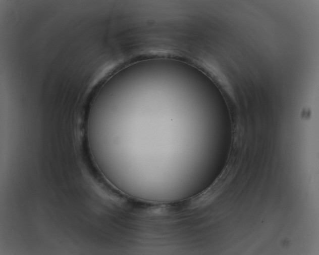 X0000096660116200802051228