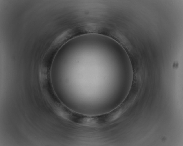 X0000096660117200802051228