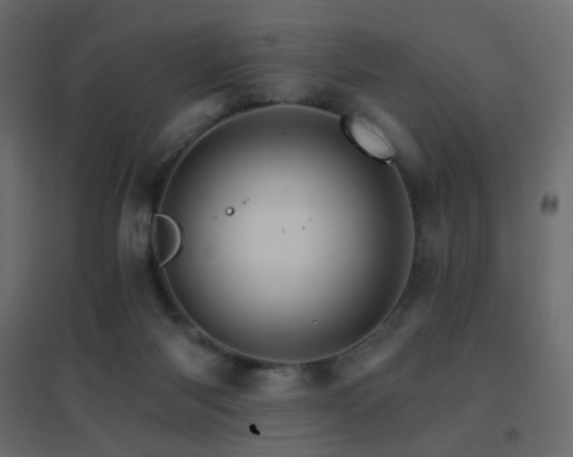 X0000096660118200802051228