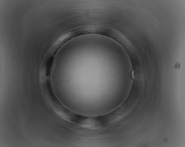 X0000096660119200802051228