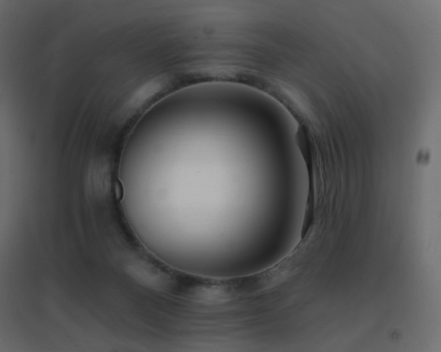 X0000096660120200802051228