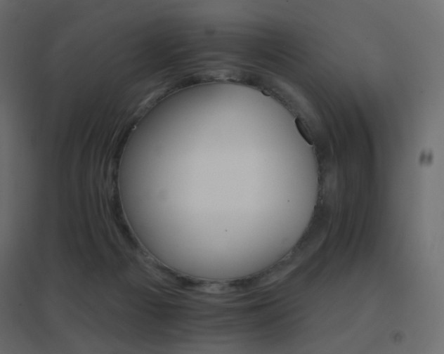 X0000096660121200802051228