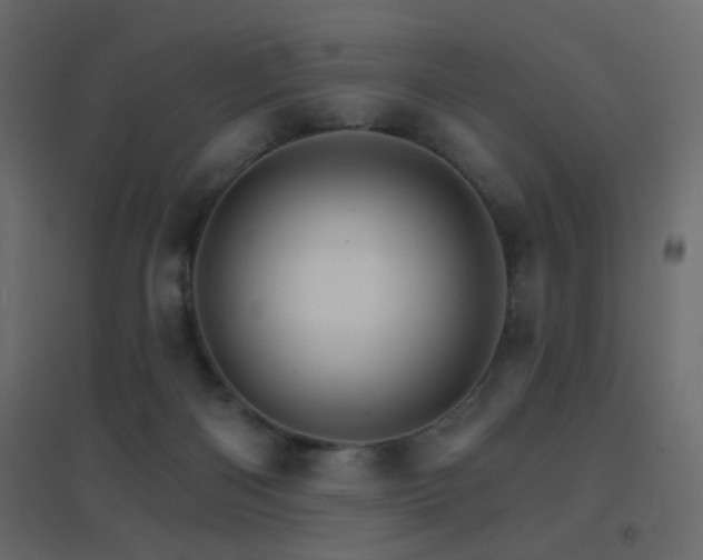 X0000096660122200802051228