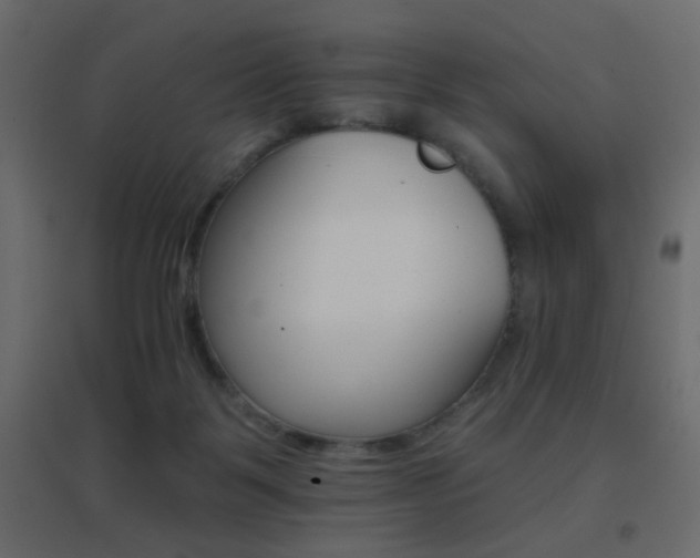 X0000096660123200802051228