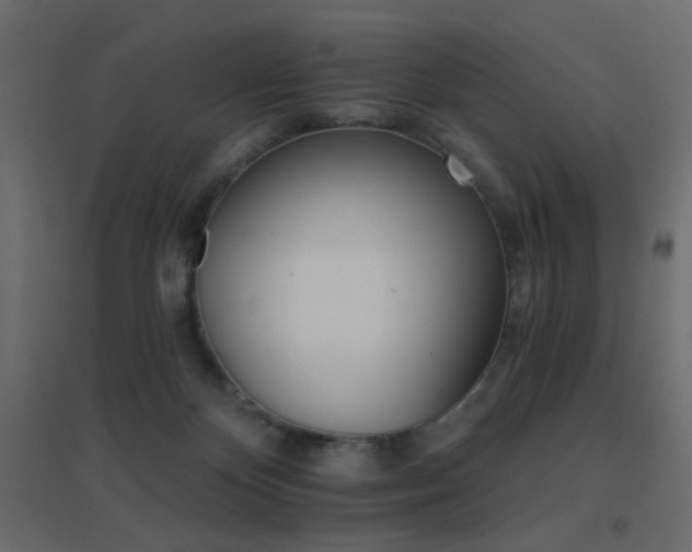 X0000096660124200802051228