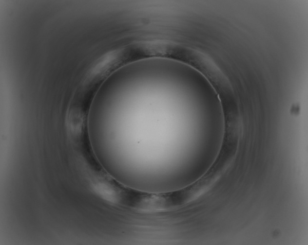 X0000096660125200802051228