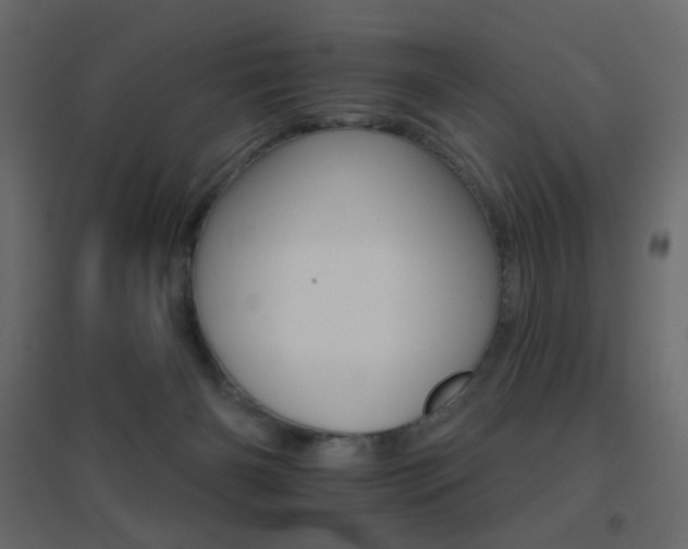 X0000096660126200802051228