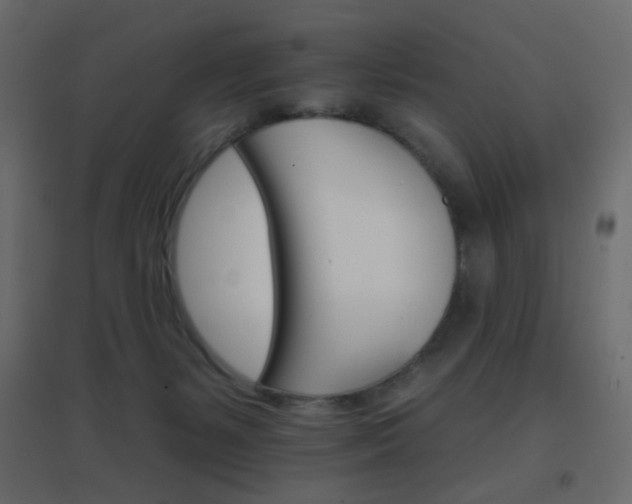 X0000096660127200802051228