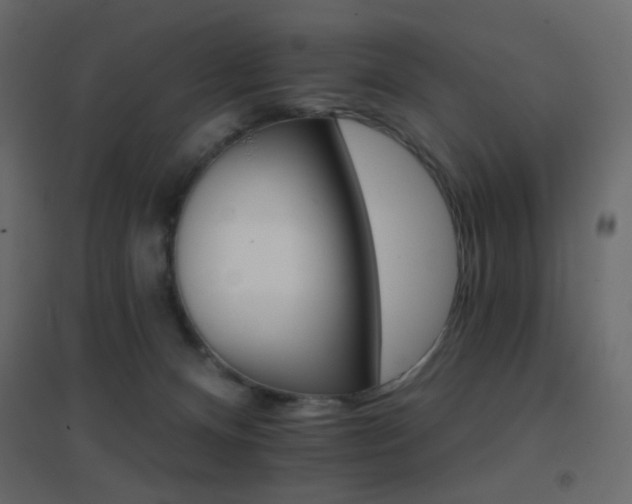 X0000096660128200802051228