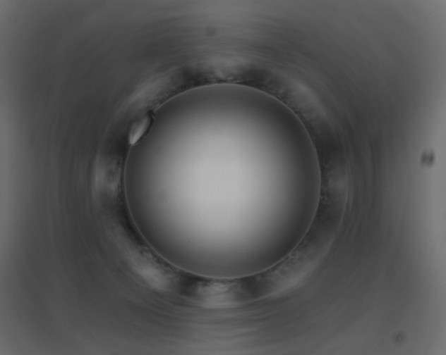 X0000096660129200802051228