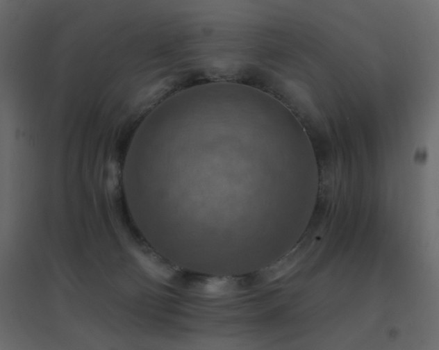 X0000096660130200802051228