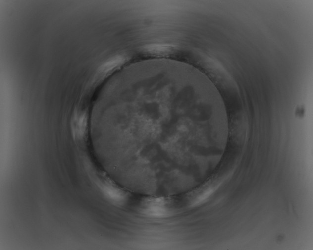 X0000096660131200802051228