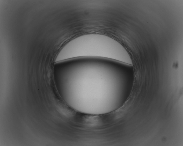 X0000096660132200802051228