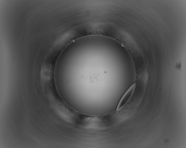 X0000096660133200802051228