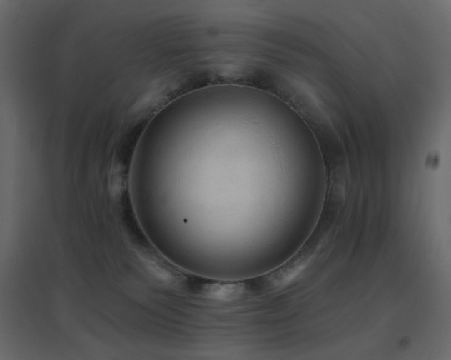 X0000096660135200802051228