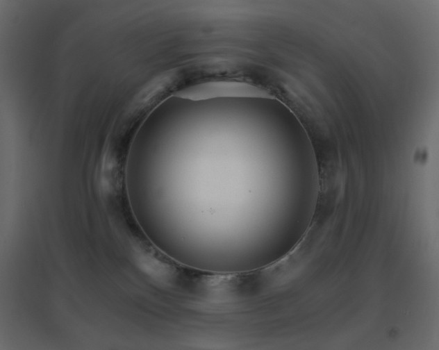 X0000096660136200802051228