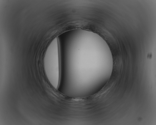 X0000096660137200802051228