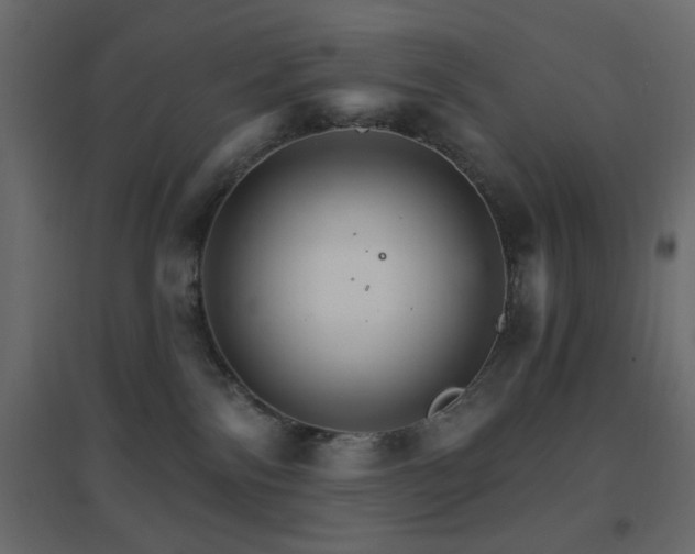 X0000096660138200802051228