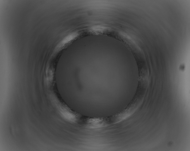 X0000096660139200802051228