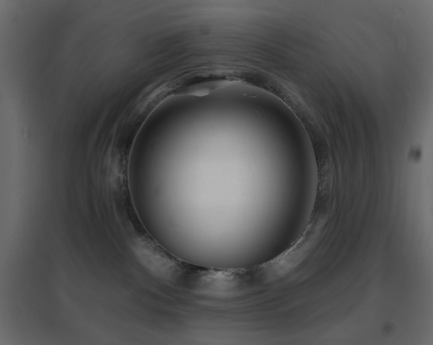 X0000096660140200802051228