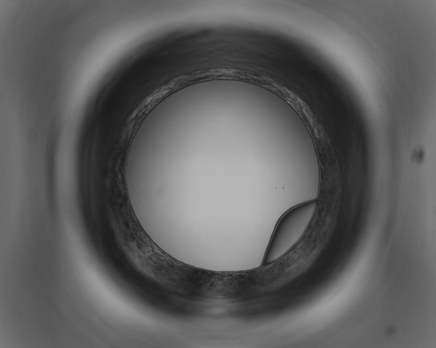 X0000096660142200802051228