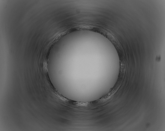 X0000096660143200802051228