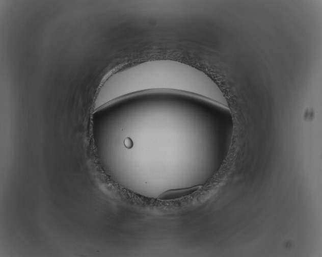 X0000096660144200802051228